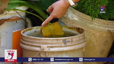 Cảnh báo bùng phát mạnh dịch sốt xuất huyết