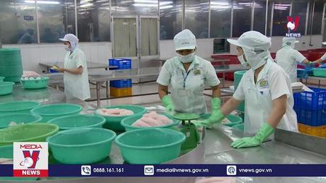 Cá tra xuất sang Trung Quốc tăng mạnh