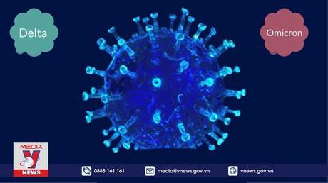 Chữa thành công cho bệnh nhân mắc COVID-19 suốt 411 ngày