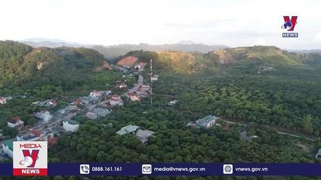 Bản tin Thời sự 8h ngày 5/11/2022