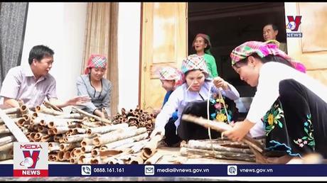 Xuất khẩu quế liên tục tăng