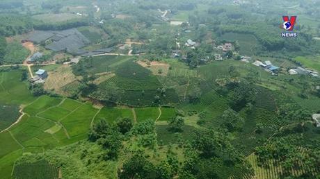 Hánh trình Việt 206: Về nơi đệ nhất danh trà