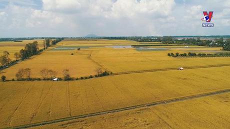 Bản tin tiếng Trung ngày 6/11/2022