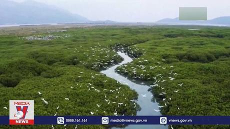 Hội nghị Các bên tham gia công ước Ramsar lần thứ 14