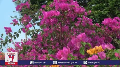 Đồng Tháp công nhận Làng nghề hoa giấy