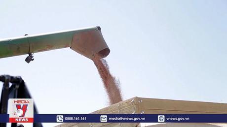 EC đề xuất gói tài chính quan trọng cho Ukraine