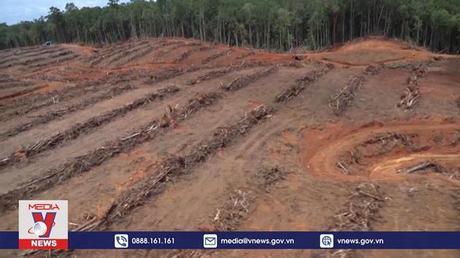 COP27: Các đảo quốc nhỏ yêu cầu các tập đoàn dầu khí bồi thường