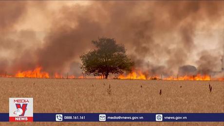 Ít nhất 15.000 người tử vong do nắng nóng ở châu Âu năm 2022