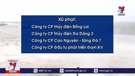 Xử phạt 800 triệu đồng 4 công ty thủy điện tại Lâm Đồng