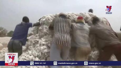 LHQ khởi động Sáng kiến thị trường carbon châu Phi