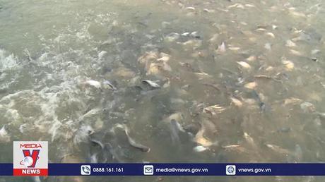 Doanh nghiệp thủy sản kiến nghị giải pháp tháo gỡ khó khăn