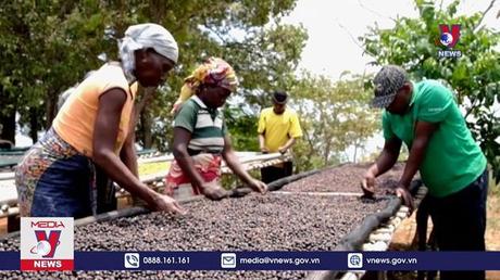 COP27 cam kết hỗ trợ tài chính các nước khó khăn