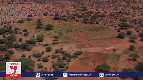 Bất đồng về quy mô hỗ trợ tài chính tại COP 27