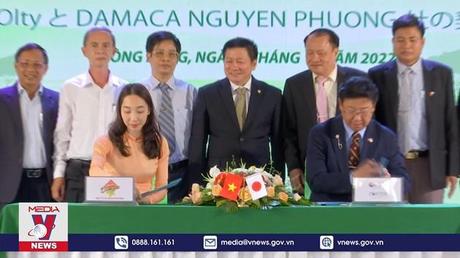 Lô mắc ca chính ngạch đầu tiên sang Nhật Bản