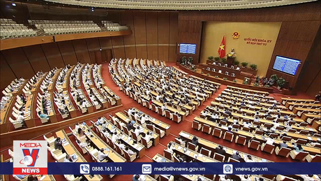 Quốc hội thảo luận về Bảo vệ quyền lợi người tiêu dùng