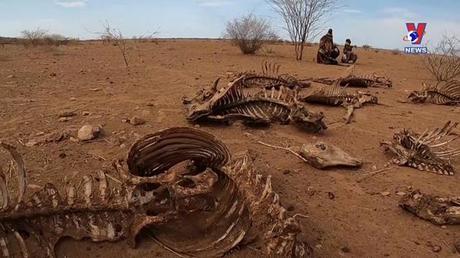 Thế giới hôm nay: Kỳ vọng về tài chính khí hậu tại COP27