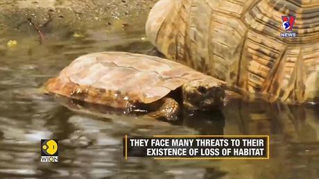 Đường dây nóng 389 ngày 12/11/2022