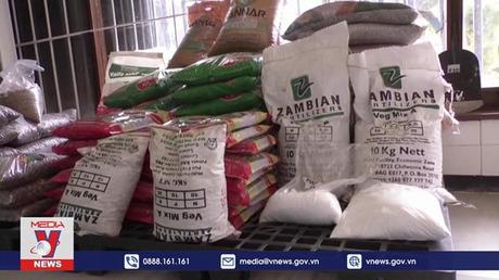 Dự báo gây sốc về chi phí nhập khẩu lương thực thế giới