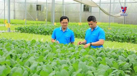 Tín dụng cho người nghèo ngày 12/11/2022