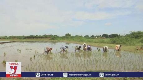 Ra mắt sáng kiến “chuyển đổi bền vững các hệ thống nông nghiệp và lương thực”