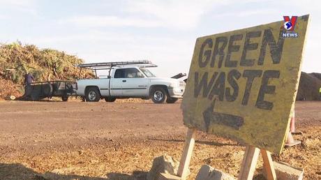 Cuộc sống xanh ngày 13/11/2022