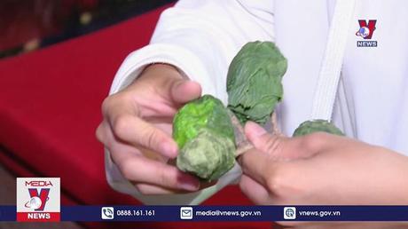 Lan tỏa xu hướng “Điện ảnh xanh”