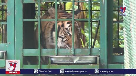 Bản tin thời sự 17h ngày 14/11/2022