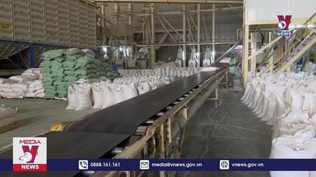 Giá gạo Việt Nam xuất khẩu cao nhất thế giới