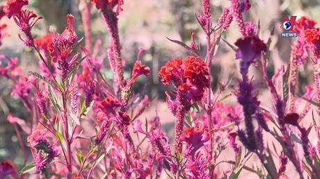 Văn hóa toàn cảnh ngày 14/11/2022