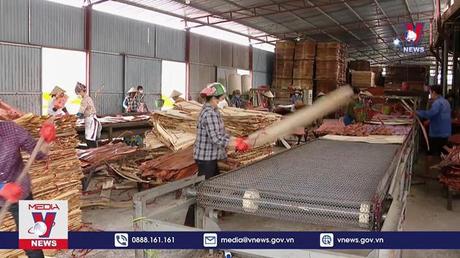 Lao động ngành gỗ đối mặt với tình trạng thiếu việc làm