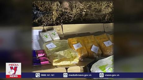 Quảng Trị bắt đối tượng tàng trữ 30.000 viên ma túy
