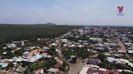 Bản tin tiếng Trung ngày 15/11/2022