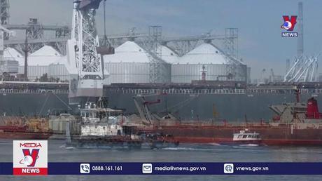 Đàm phán thỏa thuận ngũ cốc Biển Đen đạt tiến triển