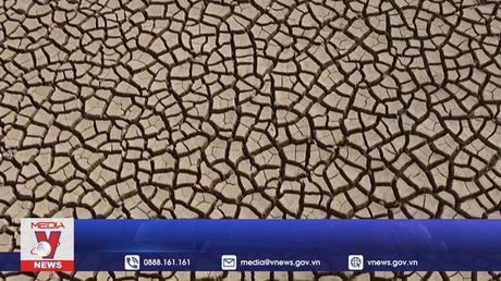 “Thành phố bọt biển” đối phó biến đổi khí hậu