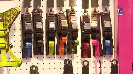 Nhật trình kinh tế ngày 17/11/2022