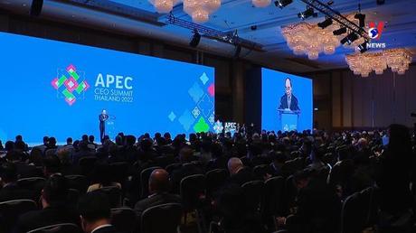 Bản tin tiếng Trung ngày 17/11/2022