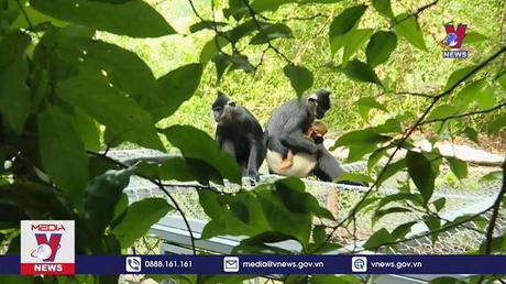 Tôn vinh giá trị di sản thiên nhiên và văn hóa làng nghề Việt Nam 