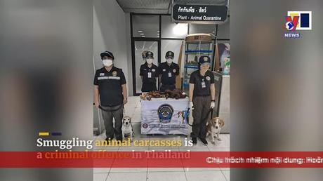 Đường dây nóng 389 ngày 18/11/2022