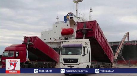 LHQ hoan nghênh việc gia hạn thỏa thuận xuất khẩu ngũ cốc Biển Đen