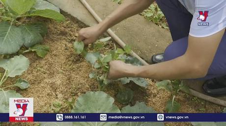 Những Thầy - Cô gác “tình riêng” để bám bản