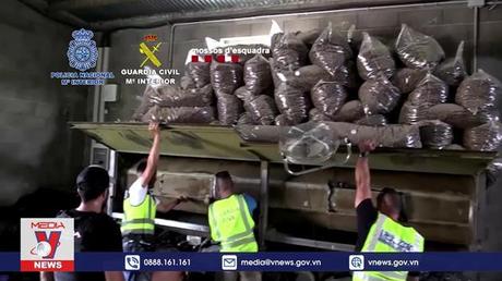 Tây Ban Nha thu giữ hơn 80 tấn cần sa