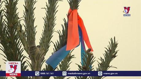 Cây thông khổng lồ cho Giáng sinh tại Nhà Trắng