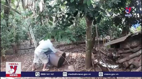 7 trường hợp tử vong vì sốt xuất huyết tại Bình Phước