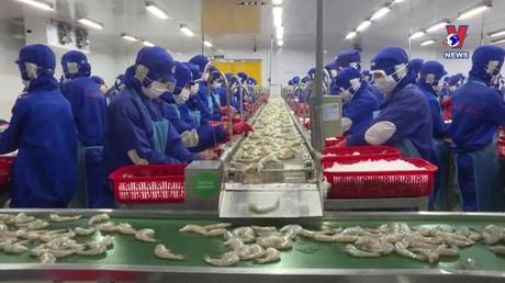 Bản tin tiếng Trung ngày 20/11/2022