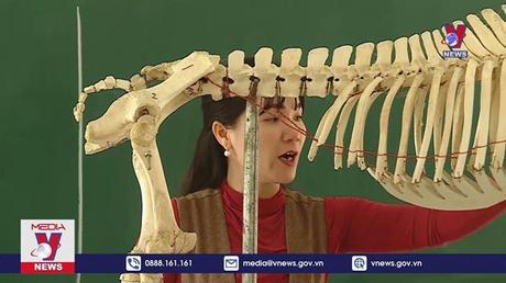 Cô giáo trẻ hết mình truyền nghề cho các em vùng cao Hà Giang