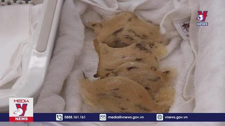 Cơ hội rộng mở cho xuất khẩu tổ yến của Việt Nam