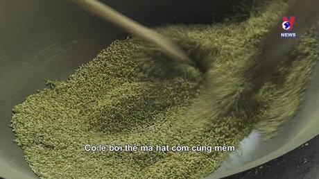 Không gian Pháp ngữ: Bắc Hà và đặc sản cốm nếp nương