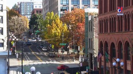 Cuộc sống xanh ngày 20/11/2022