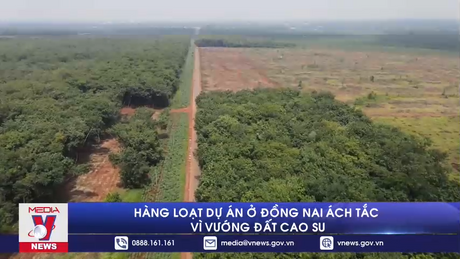 Hàng loạt dự án ở Đồng Nai ách tắc vì vướng đất cao su