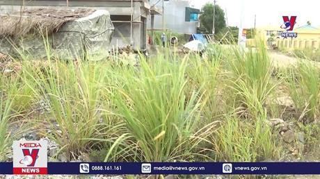 Bản tin thời sự 8h ngày 21/11/2022